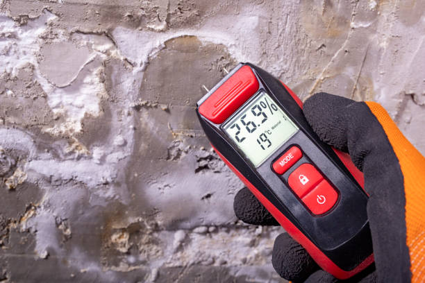 Reliable Roseville, MI Mold Removal Solutions
