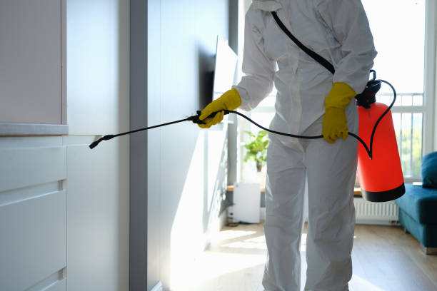 Best Fast Mold Removal  in Roseville, MI